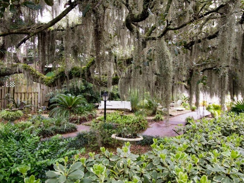 Tybee Island Inn Bed & Breakfast image 34
